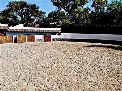 Hacienda Boutique 5* El Salitre